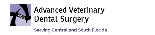 Logo for Veterinarians West Palm Beach, Florida | Advanced Veterinary Dental Surgery