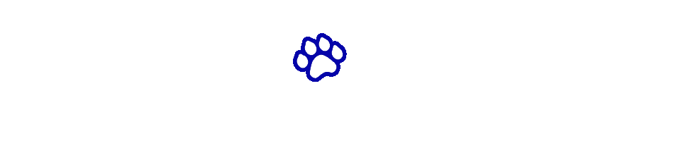 All Pets Veterinary Hospital