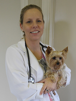 Dr Katie Mcclure Dvm Veterinarians In Lawrenceburg Kentucky Anderson Animal Hospital