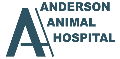 Logo for Veterinarians in Lawrenceburg, Kentucky | Anderson Animal Hospital
