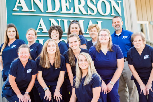 anderson animal hospital lawrenceburg ky