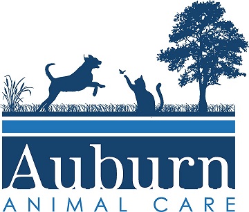Veterinarians in Chagrin Falls  | Auburn Animal Care