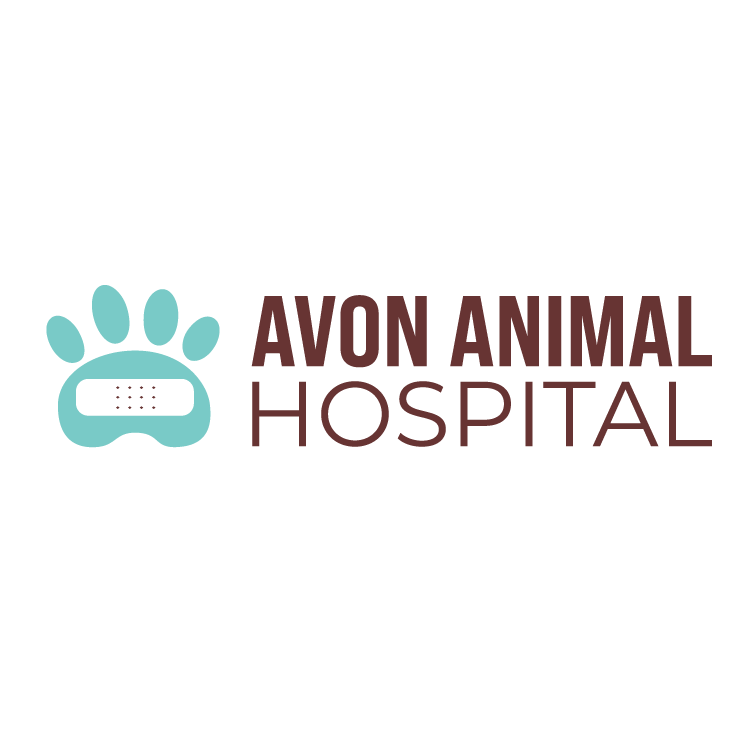 Avon Animal & Bird Hospital