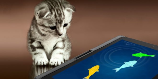 Cool Apps for you and your furry friend! | Veterinarians in Richmond