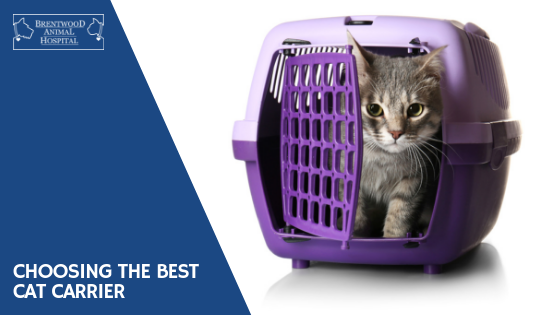 choosing a cat carrier