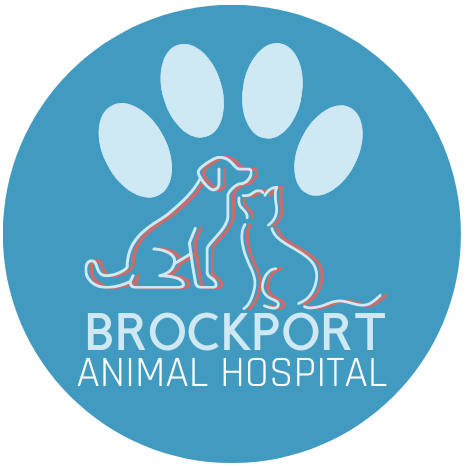 Brockport Animal Hospital