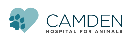 Logo for The Camden Hospital for Animals Rockport, Maine