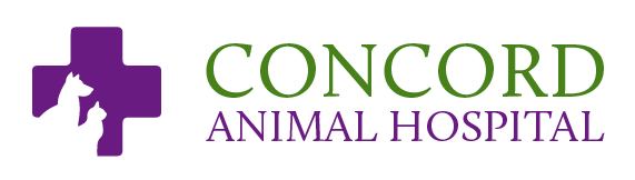 Logo for Concord Animal Hospital