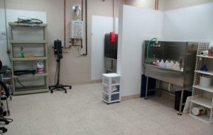 Our Bathing Department