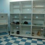 Pet Boarding Kennel