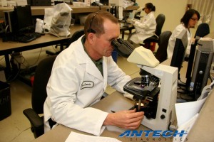 veterinary diagnostic testing - Dallas TX