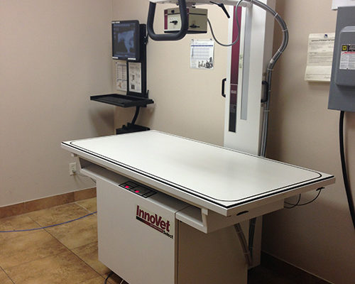 Animal Radiology Machine