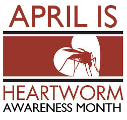 Heartworm month sale