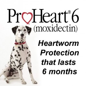 proheart6