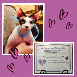 Mickey Farrington - Cornerstone Animal Clinic Purple Heart Recipient