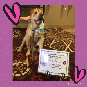 Stretch Bass - Cornerstone Animal Clinic Purple Heart Recipient