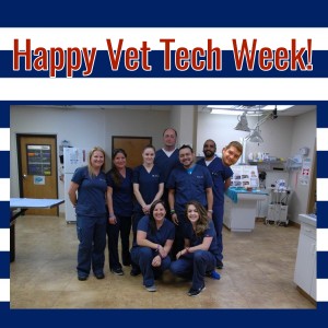 vet tech week 2016