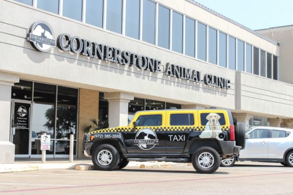 Cornerstone Animal Clinic Taxi