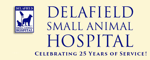 Logo for Veterinarians in Delafield | Delafield Small Animal Hospital