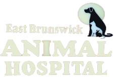 East Brunswick Animal Hospital
