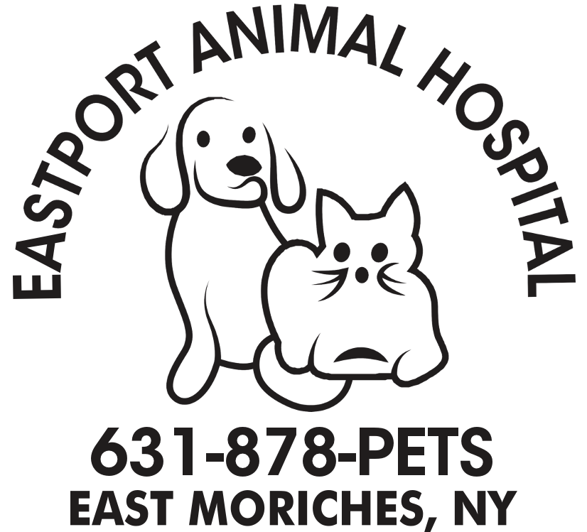 Eastport Animal Hospital
