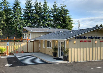 Kirkland store veterinary specialists