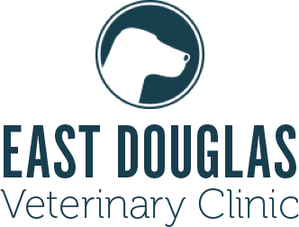 East Douglas Veterinary Clinic