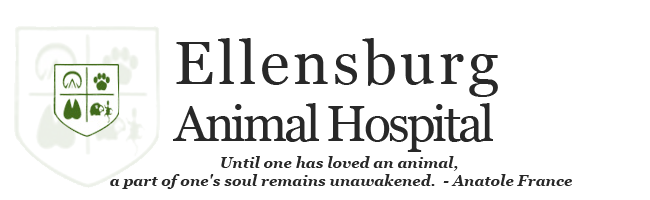 Logo for Veterinarians in Ellensburg, WA | Ellensburg Animal Hospital