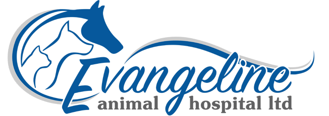 Evangeline Animal Hospital