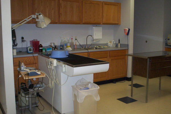 Dentistry Procedure Area