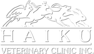 Haiku Veterinary Clinic