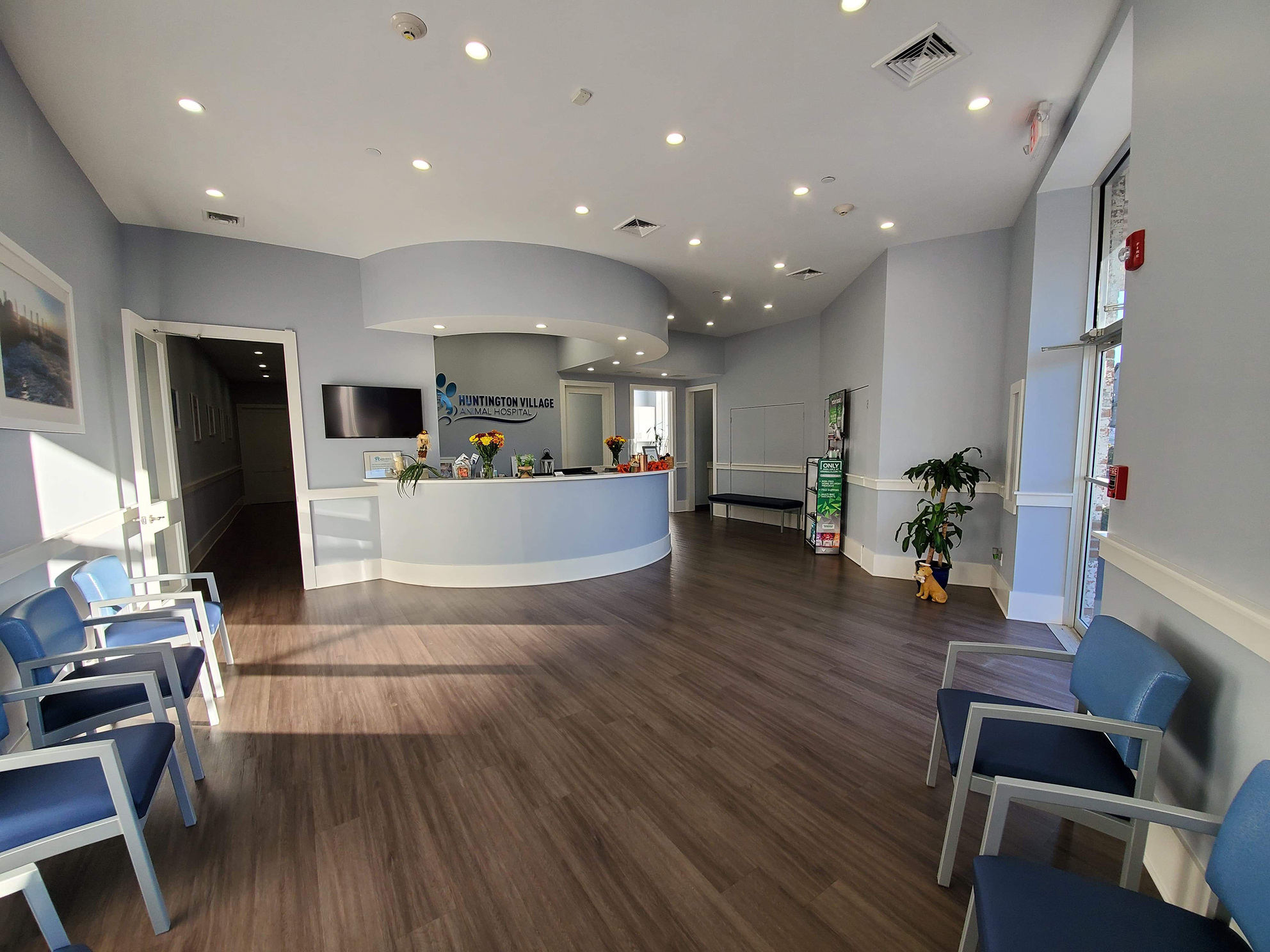 Take a Virtual Tour of our Veterinary Hospital in Huntington Village