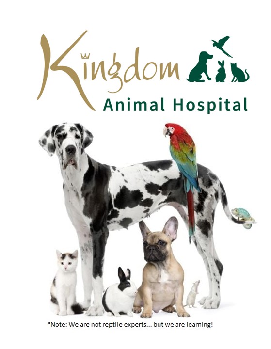Logo for Kingdom Animal Hospital