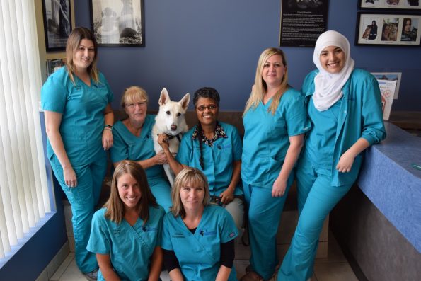 Livingston veterinary fashion hospital