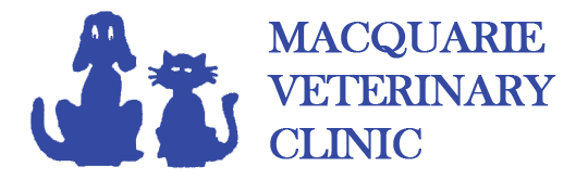 Logo for Veterinarians Windsor| Macquarie Vet Clinic