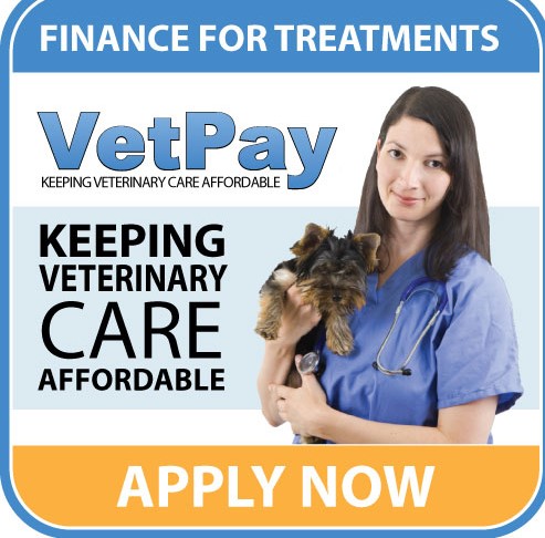 Vets near me deals that take payments