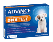 Advance hot sale dna test