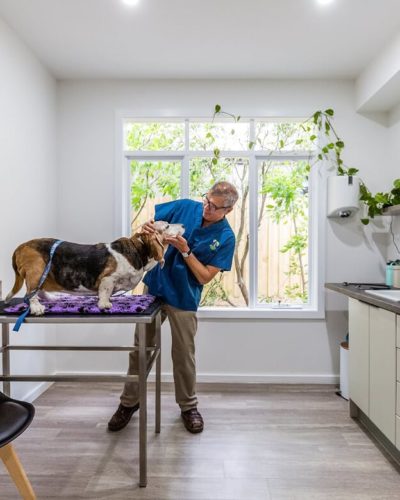 Dr. Josh & Zoe in dog exam room