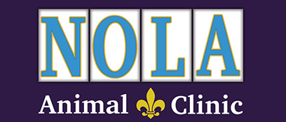 NOLA Animal Clinic Redesign
