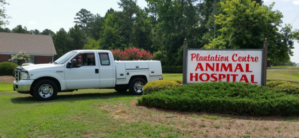 Large Animal Services | Veterinarians in Macon, GA | Plantation Centre