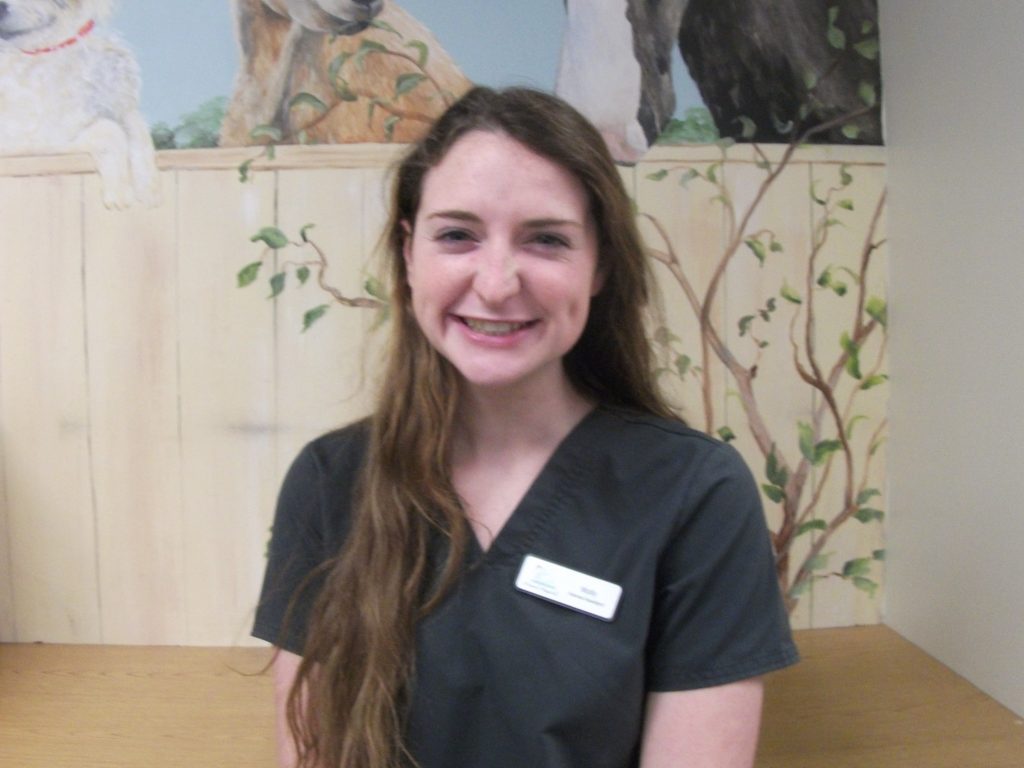 Molly | Veterinarians in Macon, GA | Plantation Centre Animal Hospital