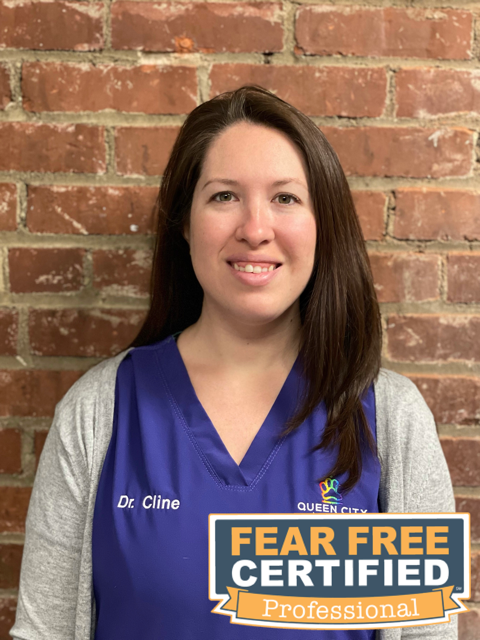 Dr. Lauren Cline, OWNER, VETERINARIAN at Queen City Animal Hospital