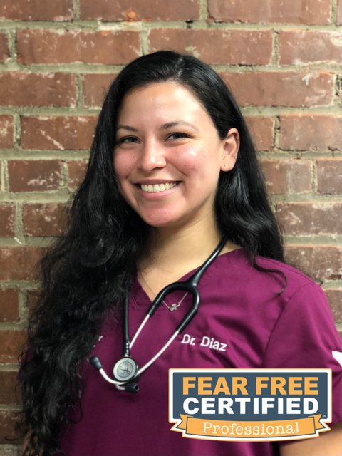 Dr. Alexa Diaz, ASSOCIATE VETERINARIAN at Queen City Animal Hospital