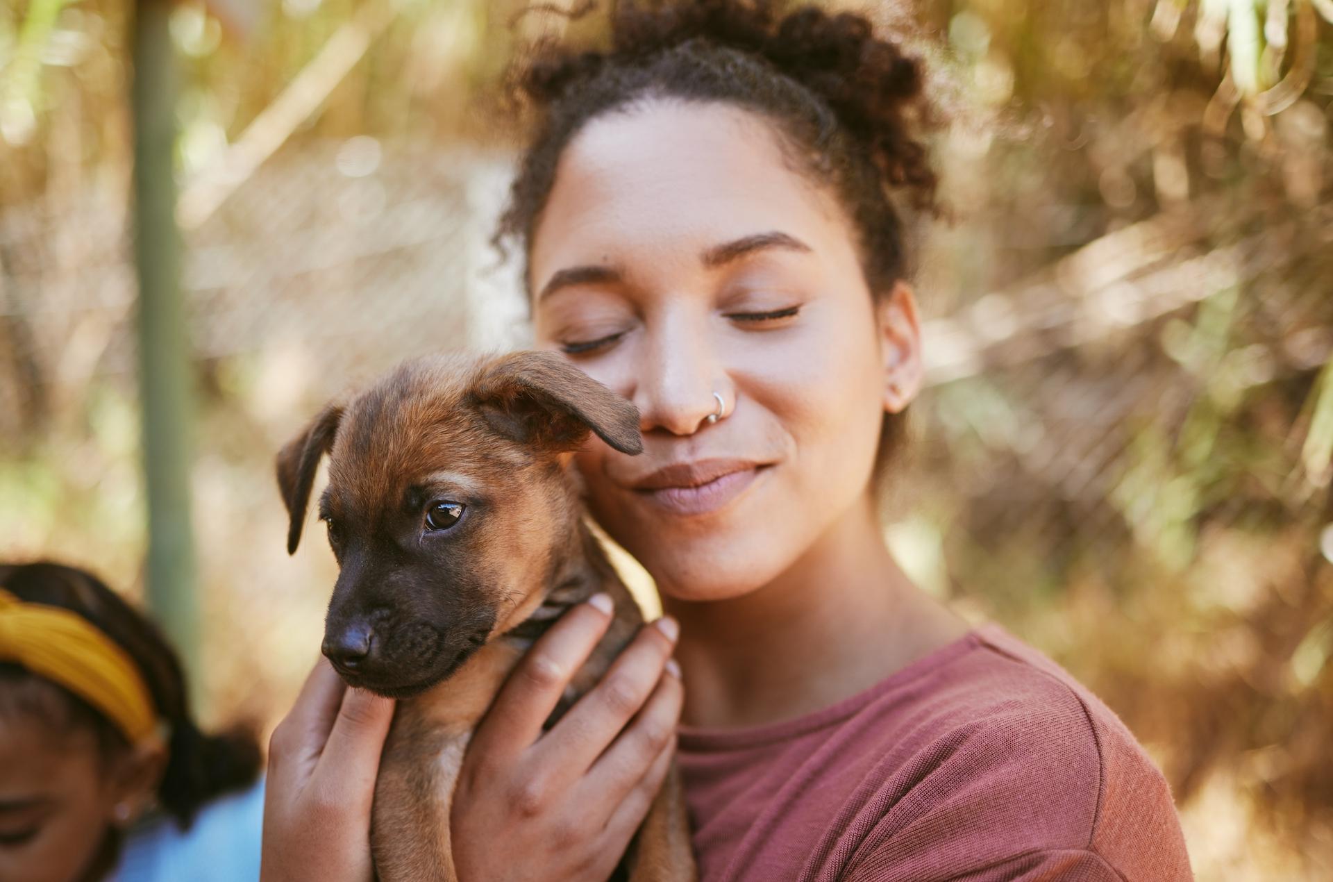 Volunteer, charity and adoption with a female holding a cute puppy at the pound