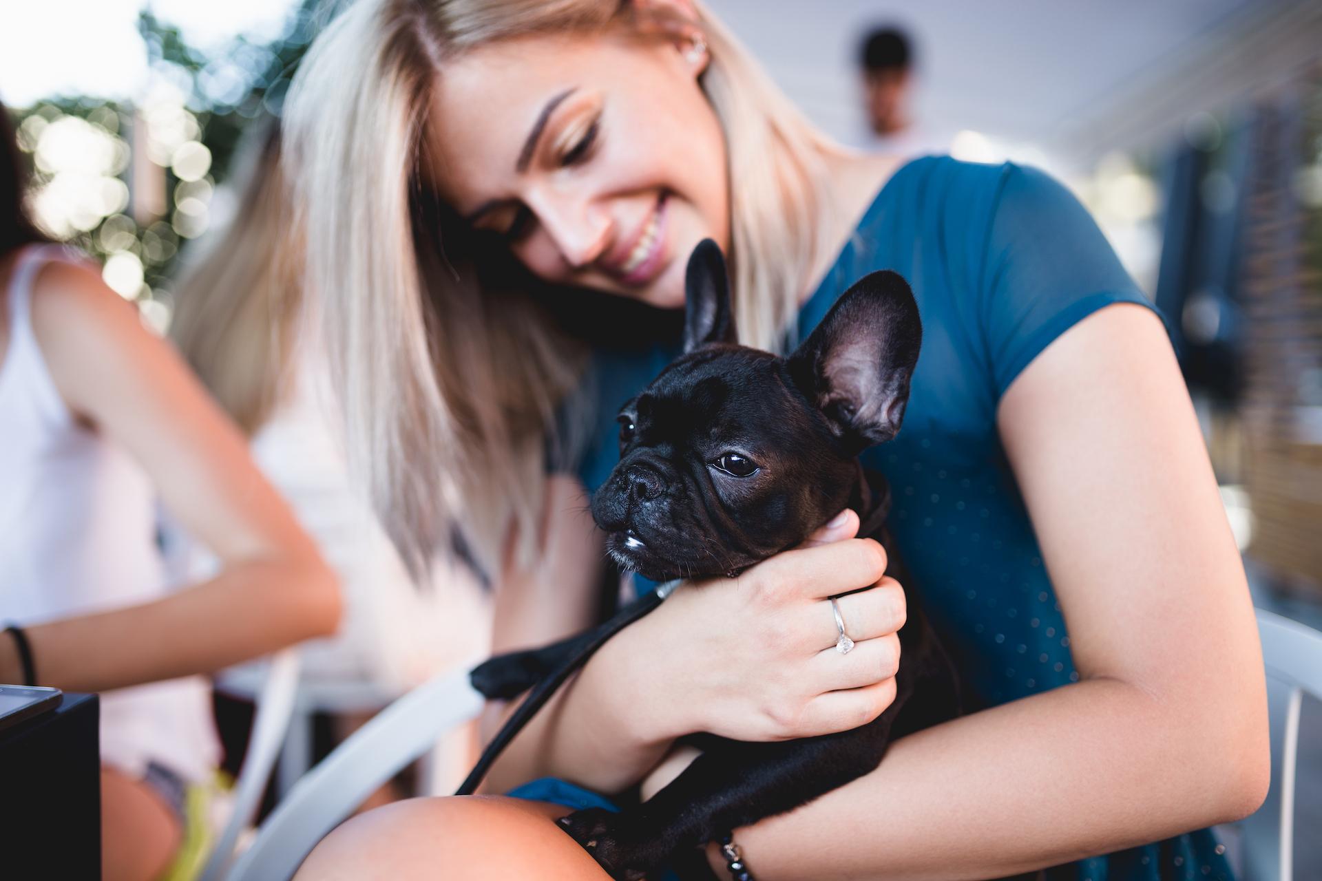 Beautiful young woman sitting in cafe with her adorable French bulldog puppy.