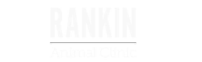 Logo for Veterinarians in Pearl, MS | Rankin Animal Clinic