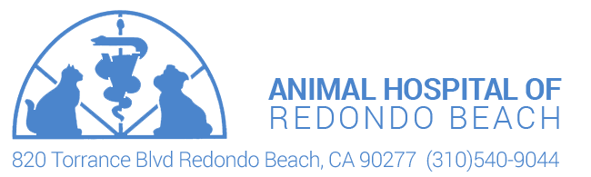 Logo for Veterinarians in Redondo Beach|Animal Hospital of Redondo Beach