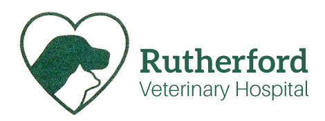 Logo for Veterinarians in Rutherfordton | Rutherford Veterinary Hospital