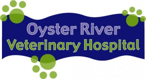 Oyster River Veterinary Hospital