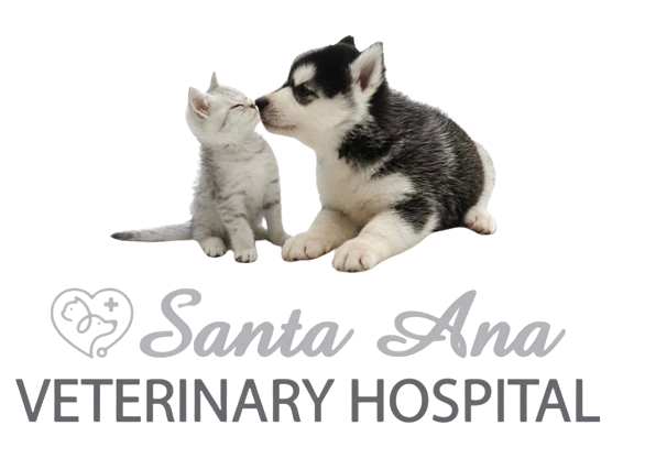 Santa Ana Veterinary Hospital